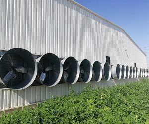 Smart Farming Market: Advancing agricultural efficiency with automation