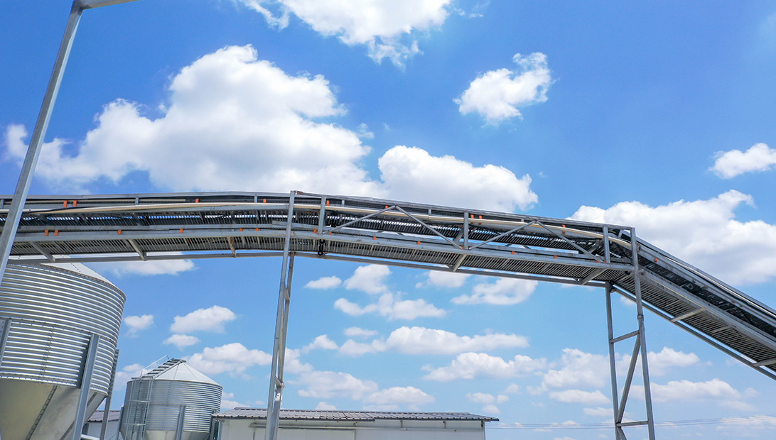 Automatic centralized egg collection system by Shuohui, reducing labor and improving egg handling efficiency in large-scale farms.