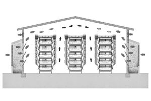 large chicken house stacked poultry cages design