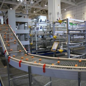 Boosting Chicken Farming Profit with Automated Systems
