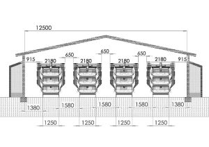 a 3-column, 4-tier automated egg layer house