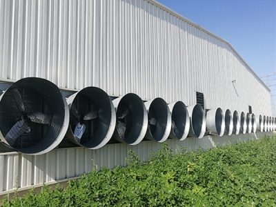 Smart Farming Market: Advancing agricultural efficiency with automation