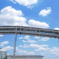 Automatic centralized egg collection system by Shuohui, reducing labor and improving egg handling efficiency in large-scale farms.