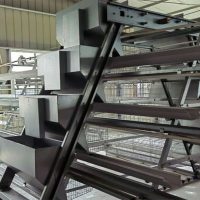 A chicken battery cages