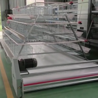 Automatic Chicken cage