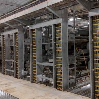 The egg collection system and egg picking machine in operation.