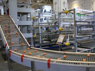 Boosting Chicken Farming Profit with Automated Systems