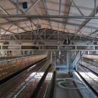 Gantry Feeder