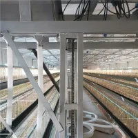 Gantry Feeder