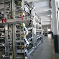 Bucket Elevator Feeders