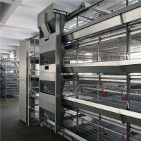 Bucket Elevator Feeders