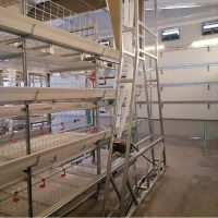 chicken manure conveyor belt