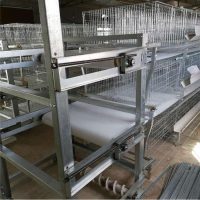 chicken manure conveyor belt