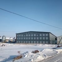 Shuohui poultry equipment offering smart solutions for poultry farms, improving productivity and reducing labor costs.