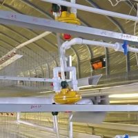 Pressure Relief Valves for Poultry Farms