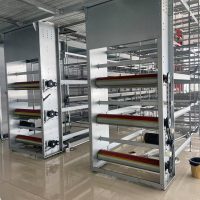 H Type Chicken Cage